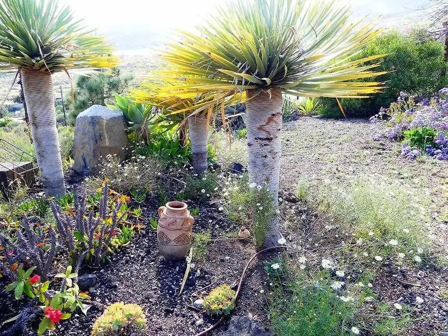 Magnificent Villa With Panoramic Views Santa Cruz de Tenerife